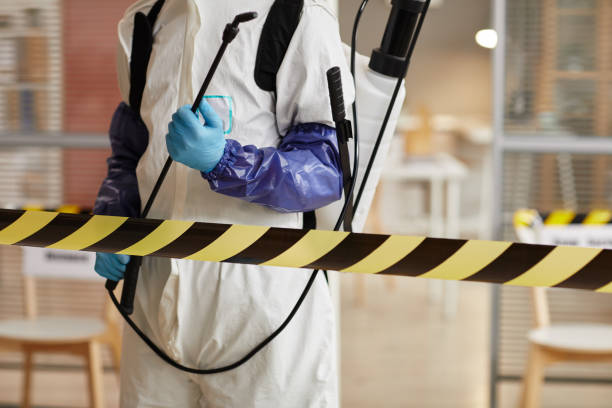 Professional Sewage Cleanup technician working in Apple Valley, MN